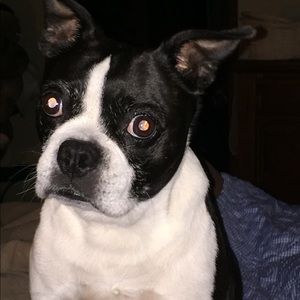 Meet your Posher, Jamie